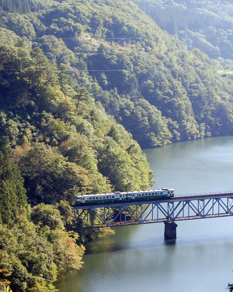 Trein over een brug boven de rivier, tussen herfstbossen